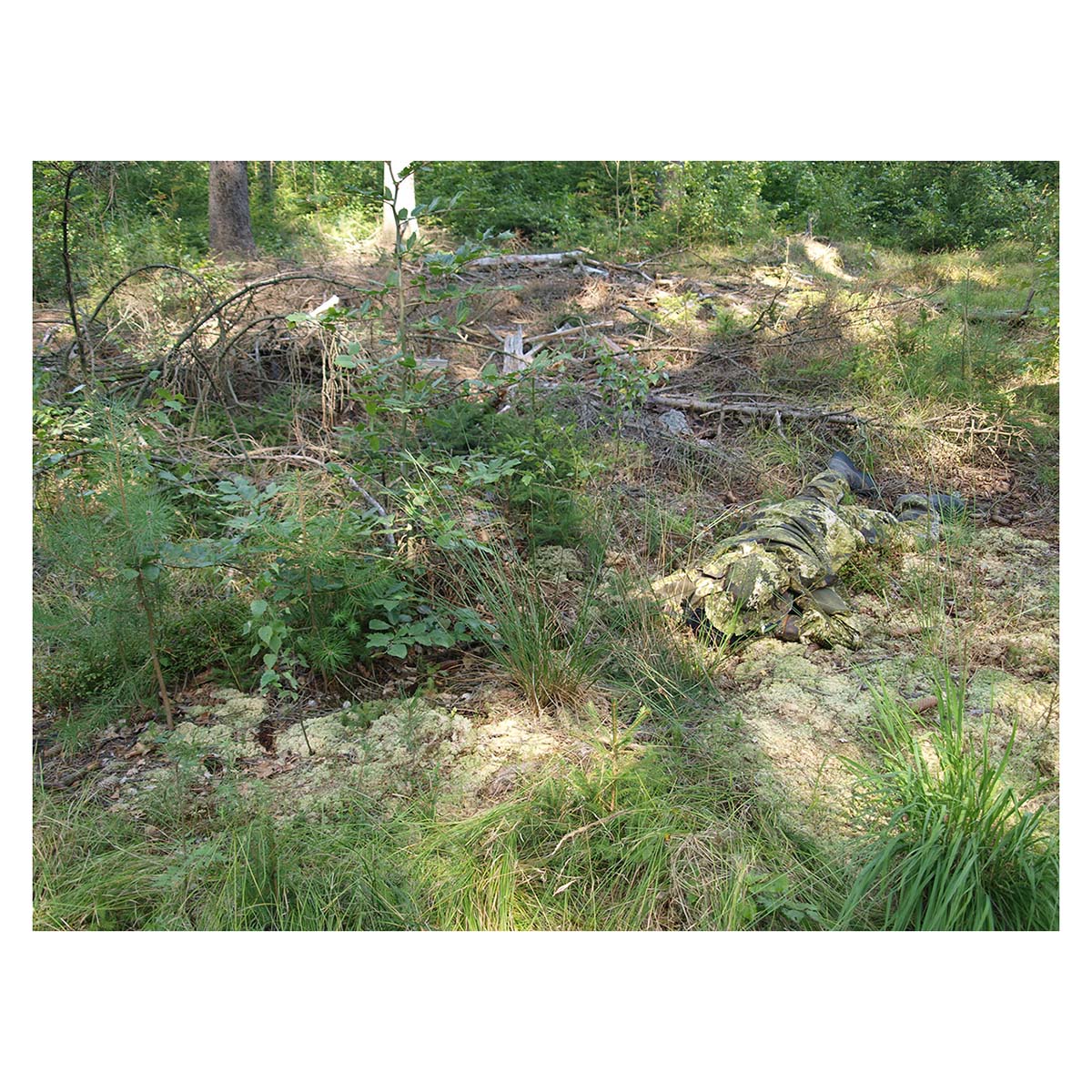 Phantomleaf Python Balaclava WASP.II.Z3a