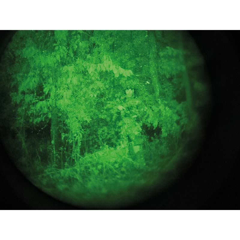 Phantomleaf Explorer broek WASP.II.Z4